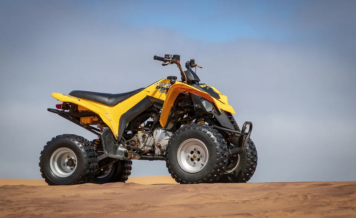 Featured Delphi Products